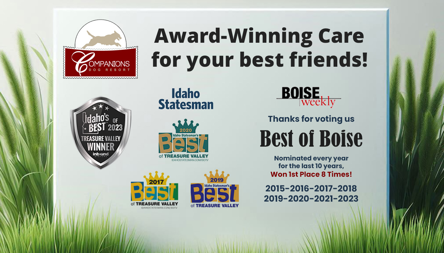 award-winning-slide-4-jpg